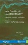 Mihai Putz, Mihai V. Putz - New Frontiers in Nanochemistry: Concepts, Theories, and Trends