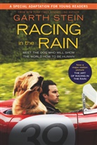 Garth Stein, Stein Garth - Racing in the Rain