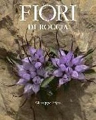 Giuseppe Frigo - Fiori di roccia