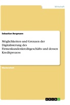 Sebastian Bergmann - Möglichkeiten und Grenzen der Digitalisierung des Firmenkundenkreditgeschäfts und dessen Kreditprozess