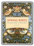 Spring Birds