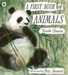 NICOLA DAVIES, Davies Nicola, Petr Horacek, Petr Horacek, Petr Horácek - A First Book of Animals
