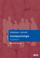 Mari Gollwitzer, Mario Gollwitzer, Manfred Schmitt - Sozialpsychologie kompakt