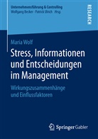 Maria Wolf - Stress, Informationen und Entscheidungen im Management