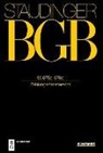 J von Staudinger, Michael Martinek, Sebastia Omlor, Sebastian Omlor, Rieble, Volker Rieble - Staudingers Kommentar zum BGB §§ 675c-676c (Zahlungsdienstrecht)