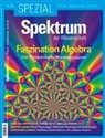 Spektrum der Wissenschaft - Faszination Algebra