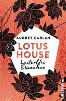 Carlan, Audrey Carlan - Lotus House - Lustvolles Erwachen