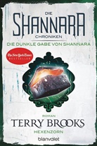 Terry Brooks - Die Shannara-Chroniken: Die dunkle Gabe von Shannara - Hexenzorn