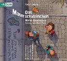 Katja Ludwig, Uwe Heidschötter, Stefan Kaminski, Nana Spier - Das Mauerschweinchen - Noras Geschichte / Arons Geschichte, 2 Audio-CDs (Audio book)