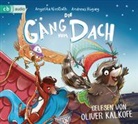 Andrea Hüging, Andreas Hüging, Angelika Niestrath, Oliver Kalkofe - Die Gäng vom Dach, 2 Audio-CDs (Hörbuch)