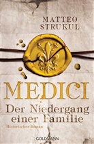 Matteo Strukul - Medici - Der Niedergang einer Familie