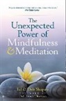 Debbie Shapiro, Ed Shapiro - The Unexpected Power of Mindfulness and Meditation