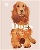 Amy Feldman, National Trust Books - Dogs of the National Trust