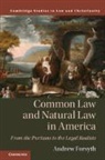 Andrew Forsyth, Andrew (Yale University Forsyth, Forsyth Andrew - Common Law and Natural Law in America