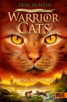 Erin Hunter, Anja Hansen-Schmidt - Warrior Cats - Vision von Schatten. Fluss aus Feuer