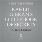 Kahlil Gibran, Neil Douglas-Klotz - Kahlil Gibran's Little Book of Secrets (Audio book)