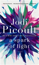 Jodi Picoult - A Spark of Light
