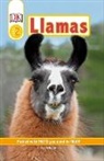 Dk, Inc. (COR) Dorling Kindersley - DK Readers Level 2: Llamas