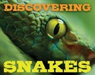 Cider Mill Press, Cider Mill Press - Discovering Snakes Handbook