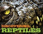 Cider Mill Press, Cider Mill Press - Discovering Reptiles Handbook
