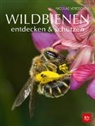 Nicolas Vereecken - Wildbienen entdecken & schützen
