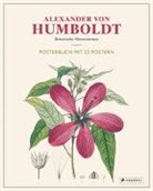 Otfried Baume, Otfried (Prof. Dr.) Baume, Prof Dr Otfried Baume, Prof. Dr. Otfried Baume, Alexander Von Humboldt - Alexander von Humboldt: Botanische Illustrationen.