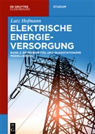 Lutz Hofmann - Lutz Hofmann: Elektrische Energieversorgung - Band 2: Betriebsmittel und quasistationäre Modellierung. Bd.2