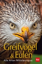 Walther Thiede - Greifvögel & Eulen