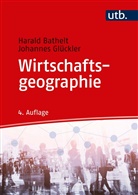 Haral Bathelt, Harald Bathelt, Johannes Glückler, Johannes (Prof. Dr.) Glückler - Wirtschaftsgeographie