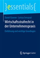 Danie Graewe, Daniel Graewe, Larissa Senuysal - Wirtschaftsstrafrecht in der Unternehmenspraxis