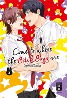 Ogeretsu Tanaka - Come to where the Bitch Boys are. Bd.3. Bd.3