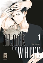 Sachimo, Sachimo - Black or White 01