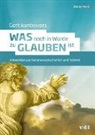 Walter Hehl - Gott kontrovers