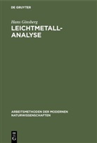 Hans Ginsberg - Leichtmetallanalyse