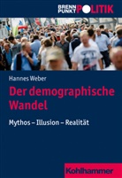 Hannes Weber, Martin Grosse Hüttmann u a, Ann Meine, Anna Meine, Hans-Geor Wehling - Der demographische Wandel