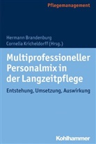 Herman Brandenburg, Hermann Brandenburg, Kricheldorff, Kricheldorff, Cornelia Kricheldorff - Multiprofessioneller Personalmix in der Langzeitpflege