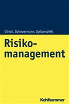 Ing Scheuermann, Ingo Scheuermann, Th Spitzenpfeil, Thomas Spitzenpfeil, Patric Ulrich, Patrick Ulrich - Risikomanagement