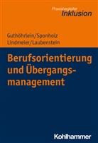 Kirste Guthöhrlein, Kirsten Guthöhrlein, Désirée Laubenstein, Chr Lindmeier, Christian Lindmeier, Dir Sponholz... - Berufsorientierung und Übergangsmanagement