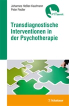Peter Fiedler, Peter (P Fiedler, Peter (Profess Fiedler, Professor Peter Fiedler, Dr. Johannes Baltasar Heßler, Johannes B. Heßler... - Transdiagnostische Interventionen in der Psychotherapie