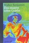 Walter Benjamin - Dos ensayos sobre Goethe