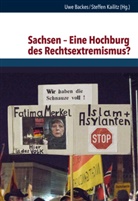 Uw Backes, Uwe Backes, Kailitz, Kailitz, Steffen Kailitz - Sachsen - Eine Hochburg des Rechtsextremismus?