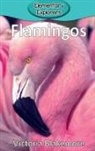 Victoria Blakemore - Flamingos