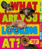 Sara Stanford - What Are You Looking At?