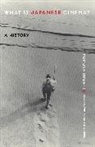 Yomota Inuhiko - What Is Japanese Cinema?