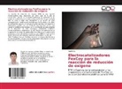 Xiaolei Xu - Electrocatalizadores FexCoy para la reacción de reducción de oxígeno