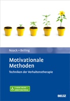 Peter Beiling, Ren Noack, Rene Noack, Pete Neudeck, Peter Neudeck - Motivationale Methoden, m. 1 Buch, m. 1 E-Book