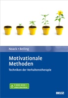 Peter Beiling, Ren Noack, Rene Noack, Pete Neudeck, Peter Neudeck - Motivationale Methoden