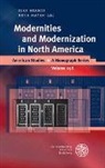 Ilk Brasch, Ilka Brasch, Mayer, Mayer, Ruth Mayer - Modernities and Modernization in North America