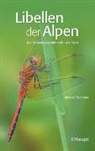 Matteo Elio Siesa - Libellen der Alpen