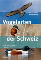 Carl A. Balzari, CarlAntonio Balzari, Carl'Antonio Balzari, Andreas Gygax - Vogelarten der Schweiz
